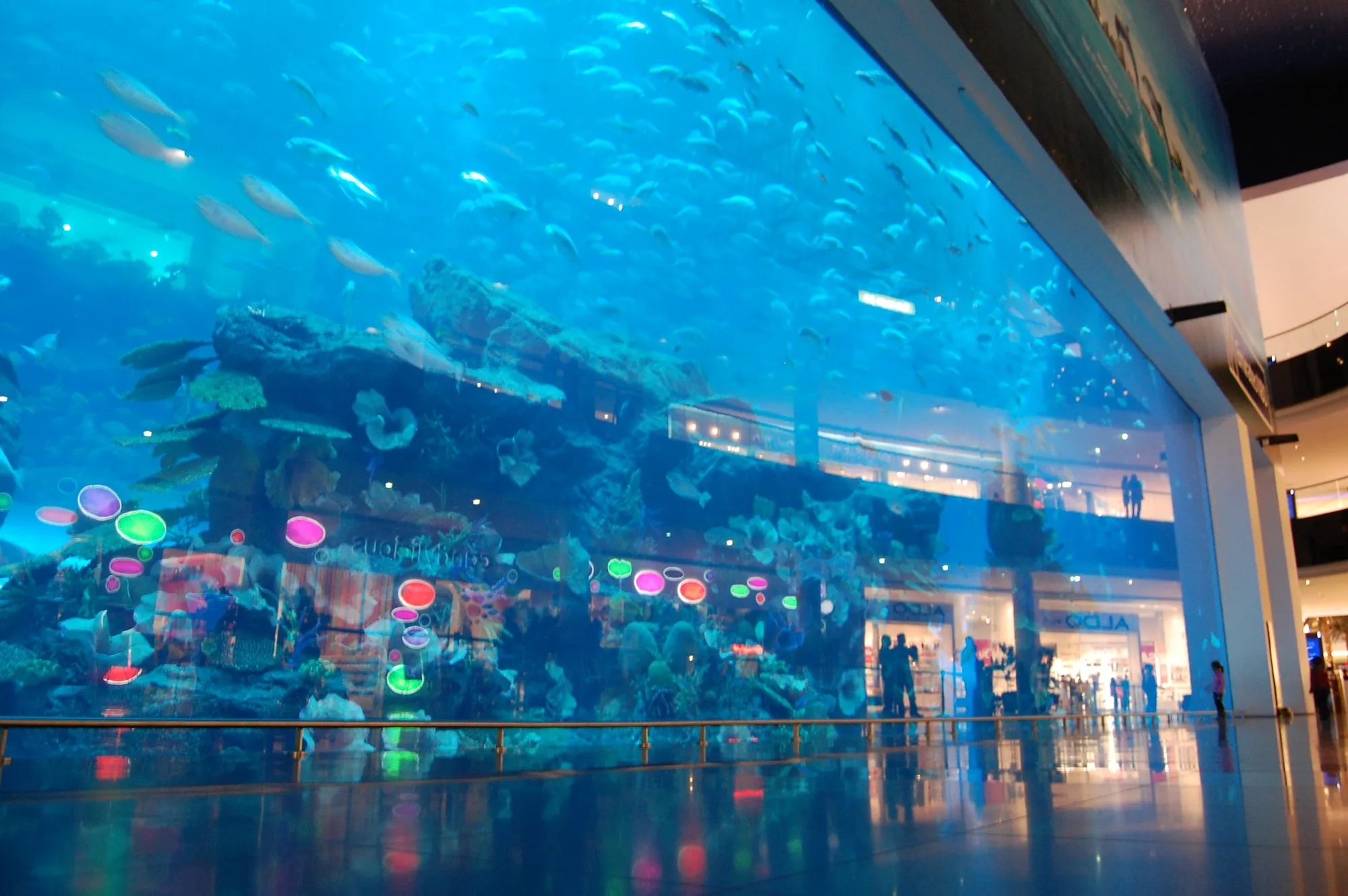 The giant Dubai Aquarium viewing panel at Dubai Mall, a wall of blue water filled with fish and coral with the mall visible beyond