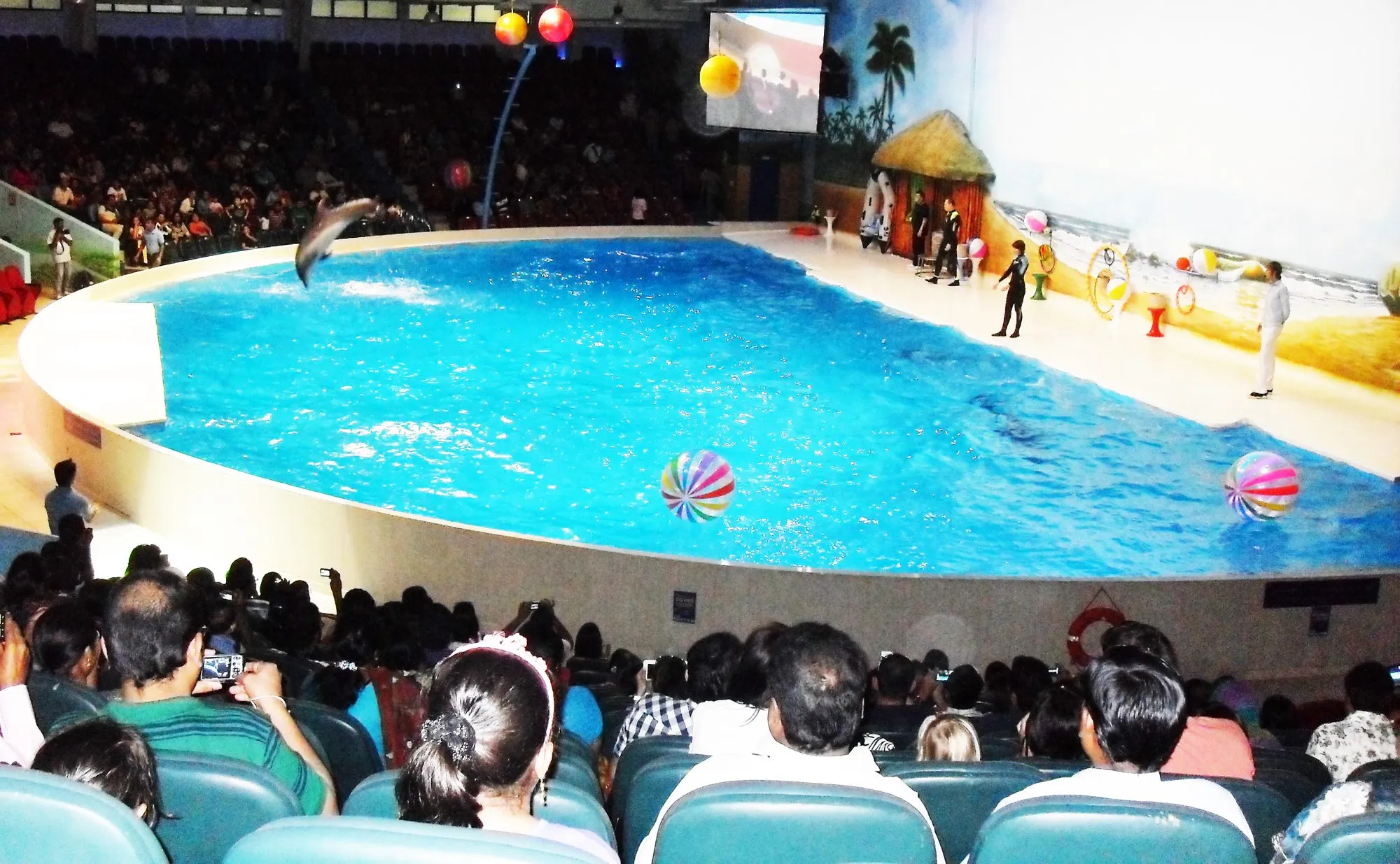 A dolphin leaping above the pool during a show at Dubai Dolphinarium with the audience seated around the arena
