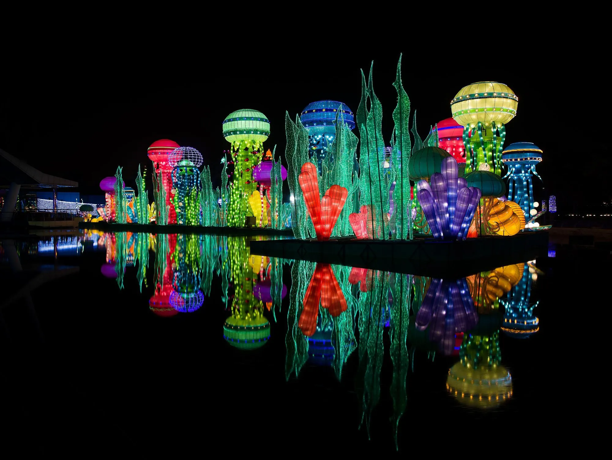 Colourful illuminated jellyfish and sea-plant lantern sculptures reflected in a pond at Dubai Garden Glow at night