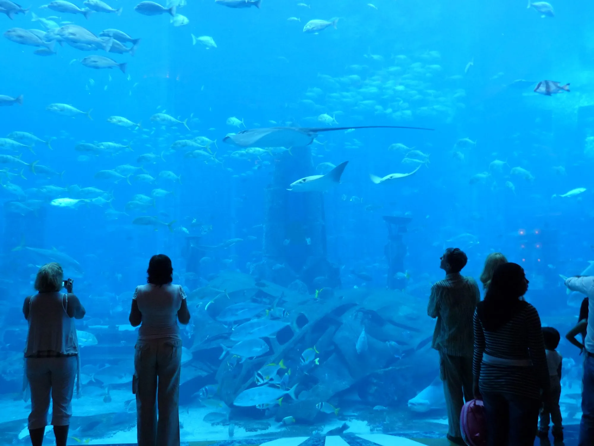 Visitors silhouetted before the vast blue Ambassador Lagoon tank at The Lost Chambers Aquarium, Atlantis The Palm, with rays and fish above the sunken ruins
